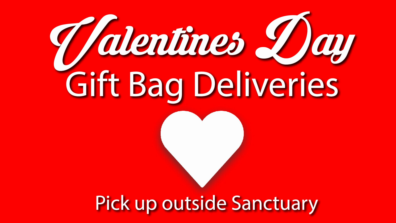 Valentine's Day Gift Bag Delivery