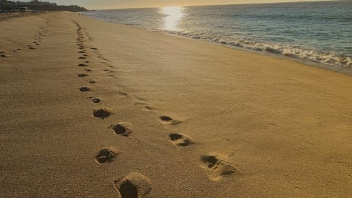 Following The Master