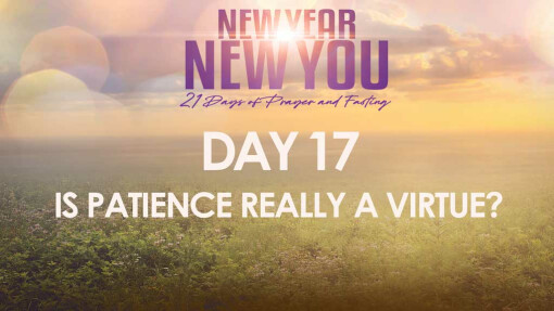 DAY 17: IS PATIENCE REALLY A VIRTUE?