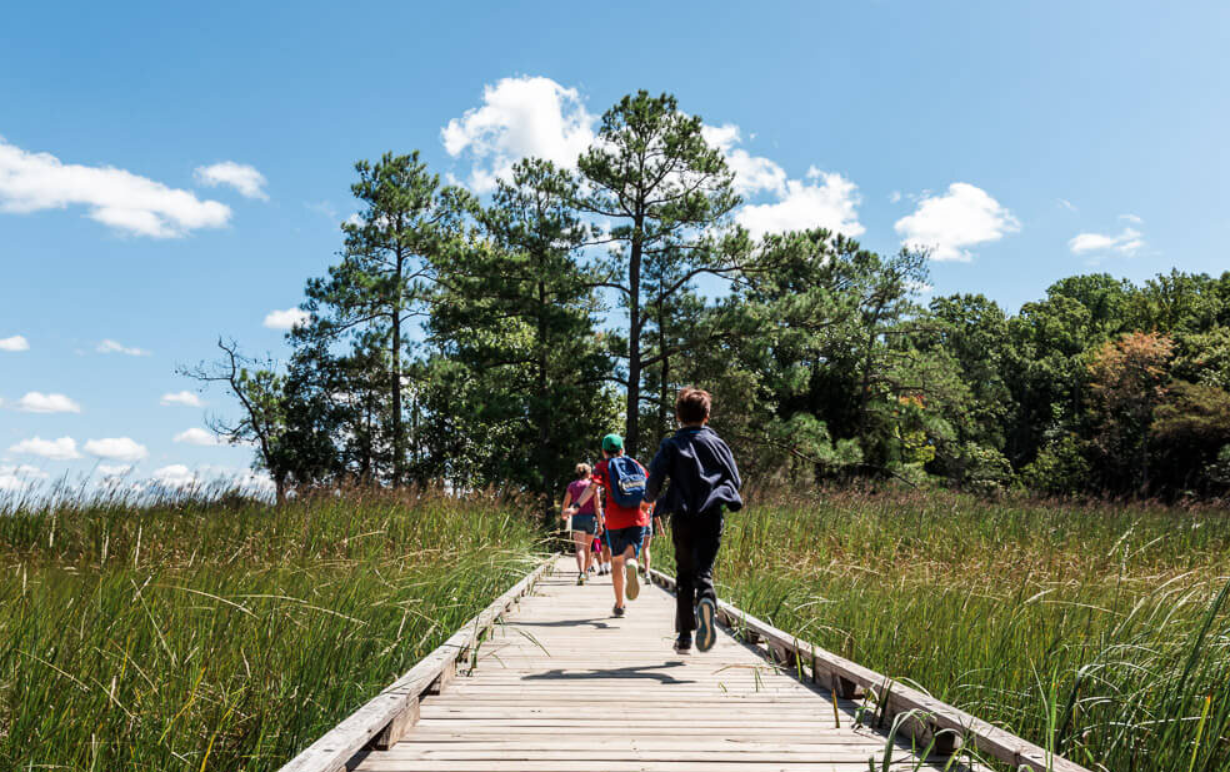 Youth Outing: Hiking at York River State Park