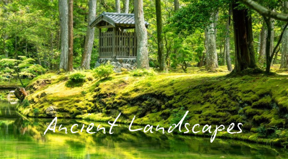 'Ancient Landscapes' Art Exhibition