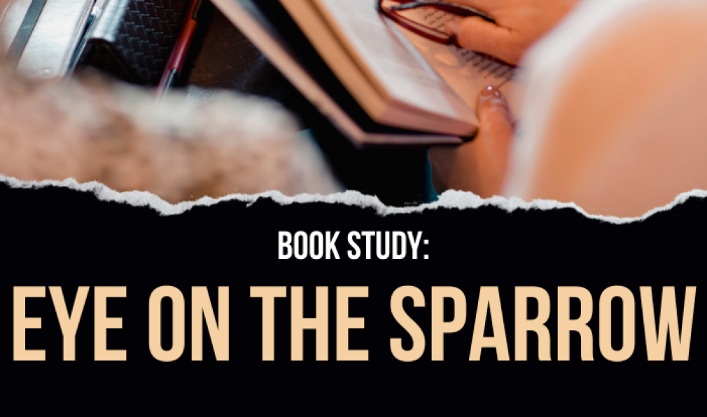 Eye On The Sparrow Book Study