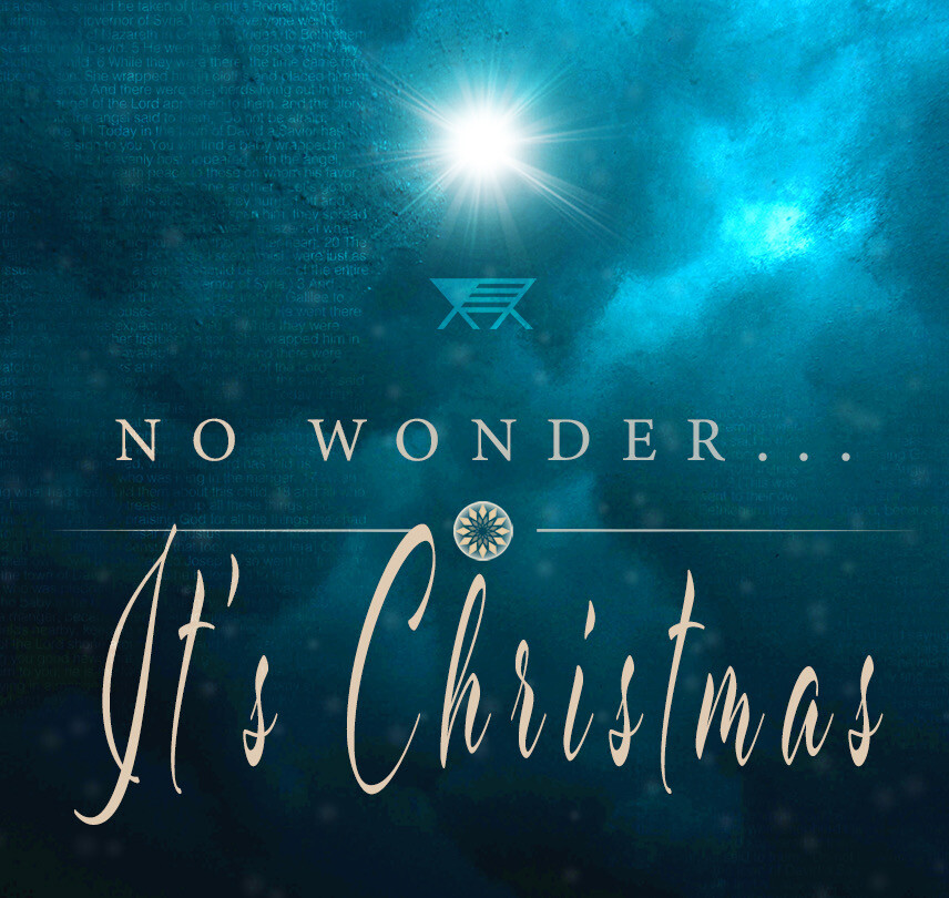 No Wonder...It’s Christmas