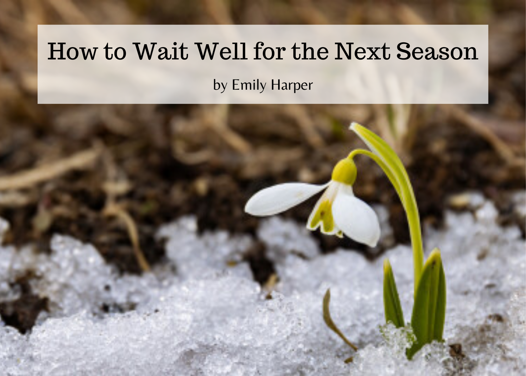 how-to-wait-well-for-the-next-season