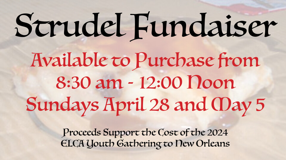 Youth Strudel Fundraiser