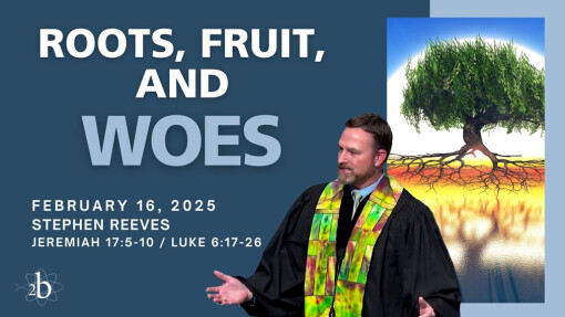 Roots, Fruit and Woes | February 16, 2025 | Rev. Stephen Reeves