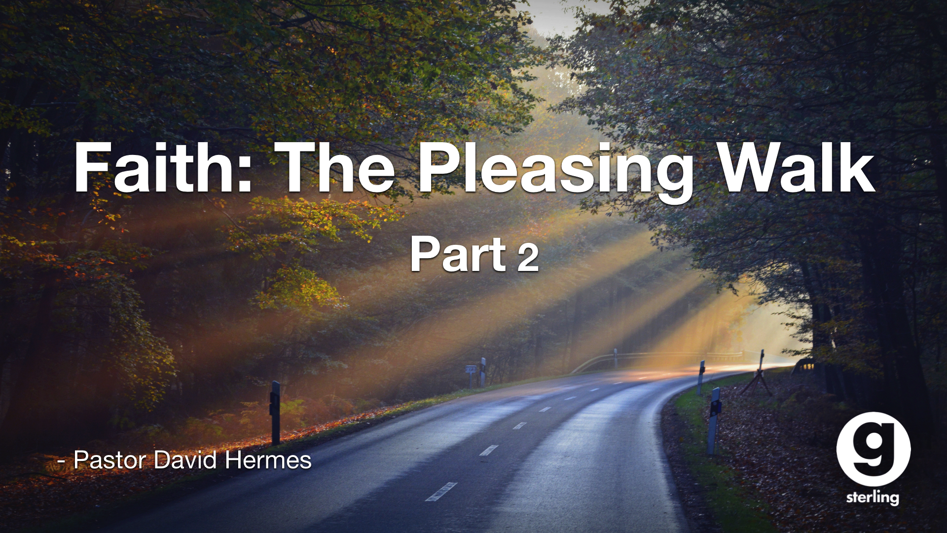 Faith-The Pleasing Walk pt 2 episode artwork