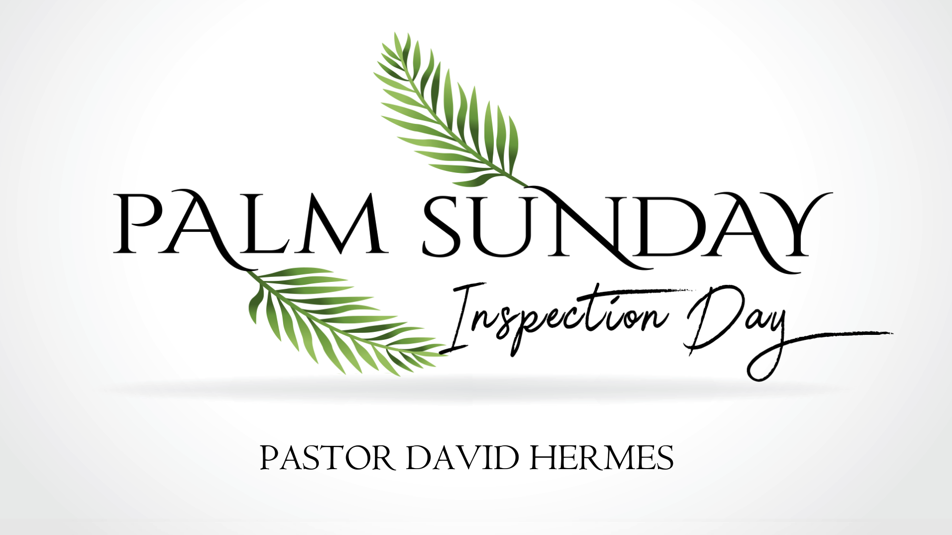 Palm Sunday - Inspection Day - Sterling episode artwork