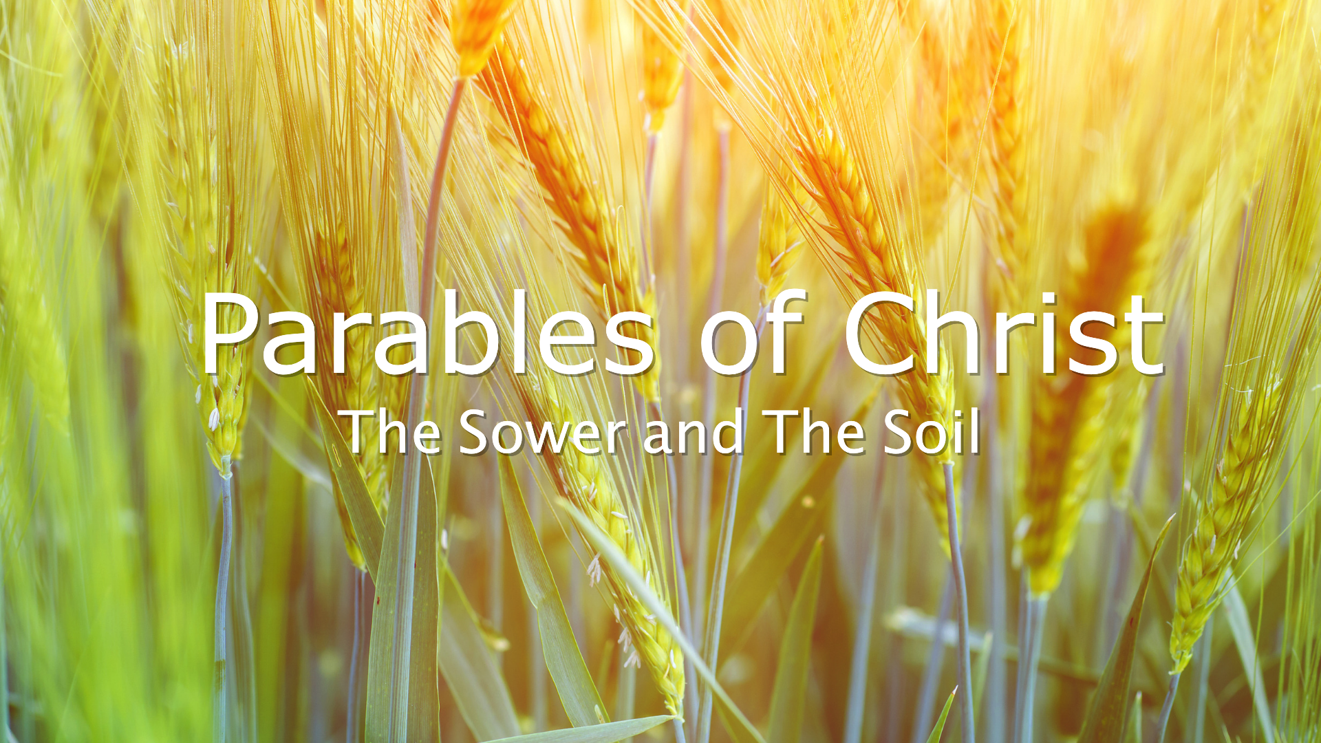 The Sower and The Soil episode artwork