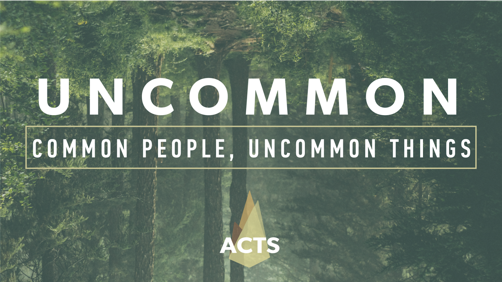 Uncommon: Common People, Uncommon Things