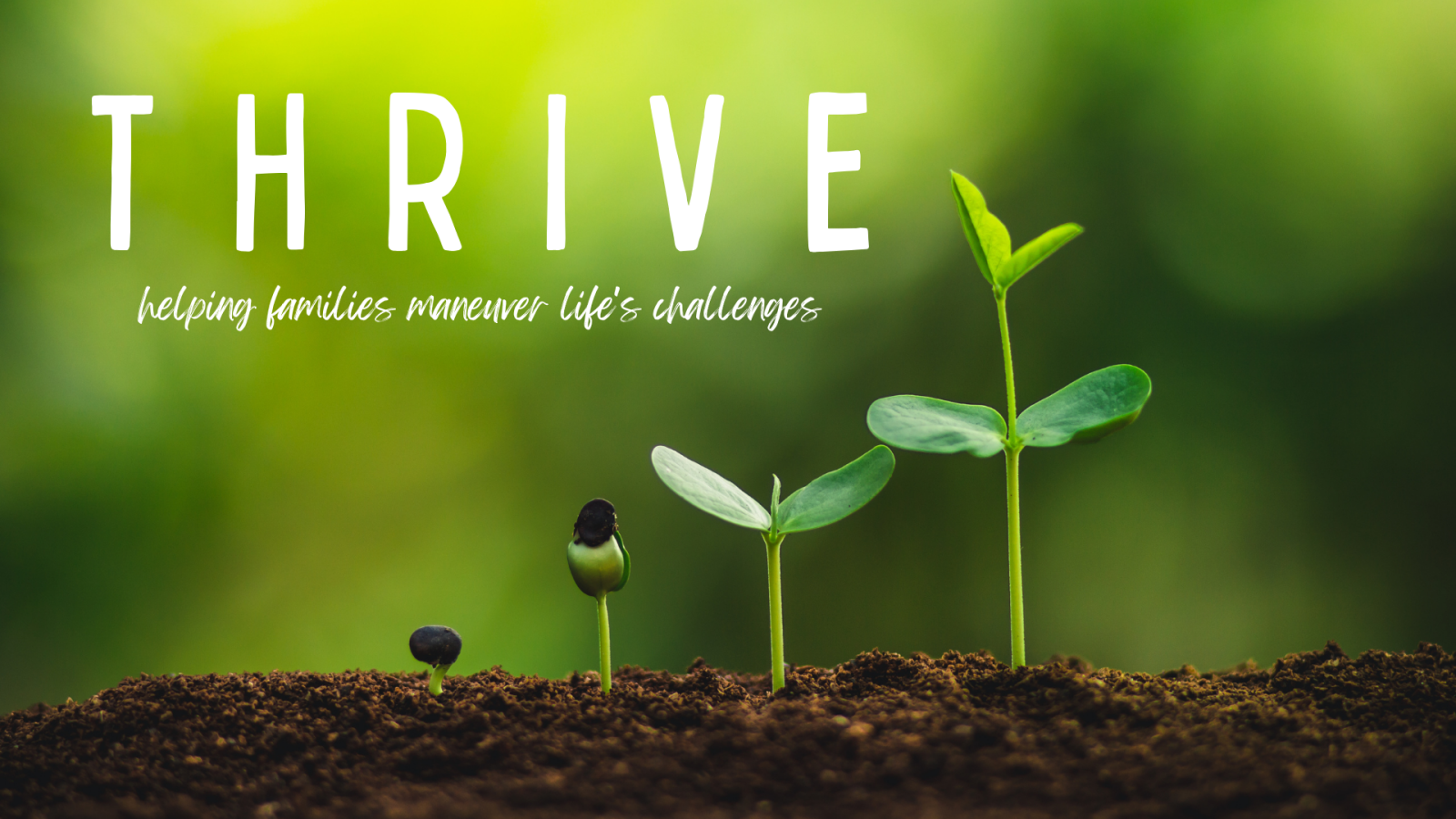 THRIVE: helping families maneuver life's challenges