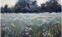 Peggy Cook Fields of flowers