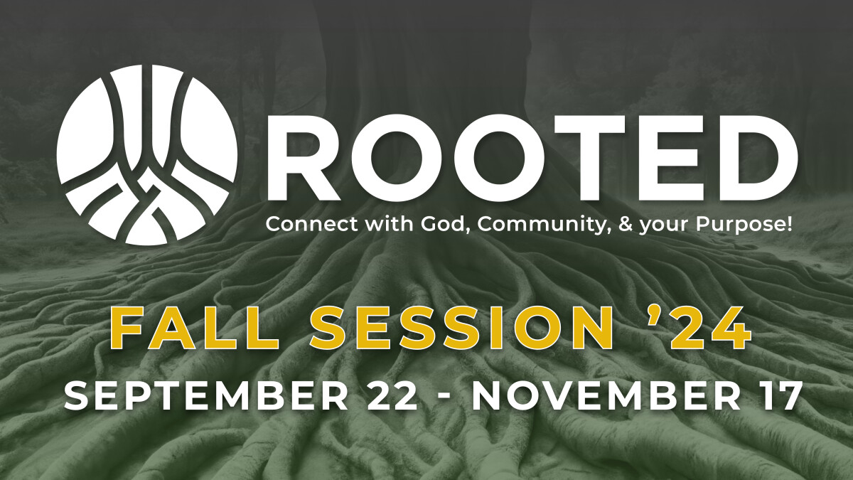 Rooted Groups Fall 2024