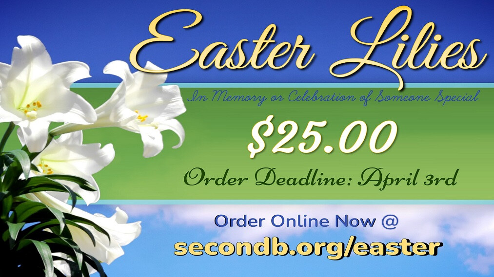 Easter Lily Orders