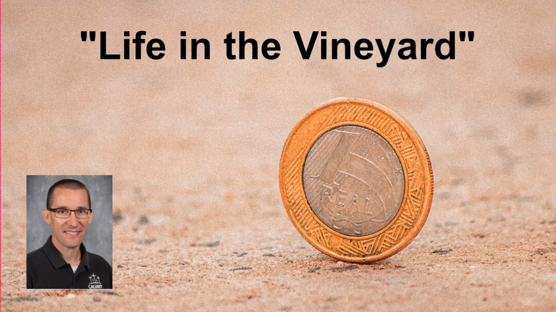 Life in the Vineyard