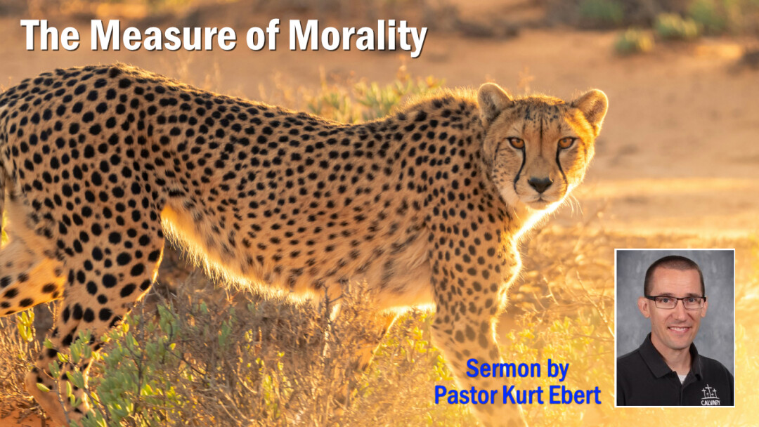 A Measure of Morality?