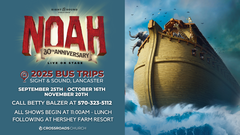 Sight & Sound (Noah)