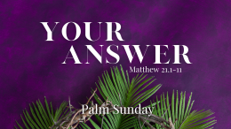 Palm Sunday 2023: Your Answer