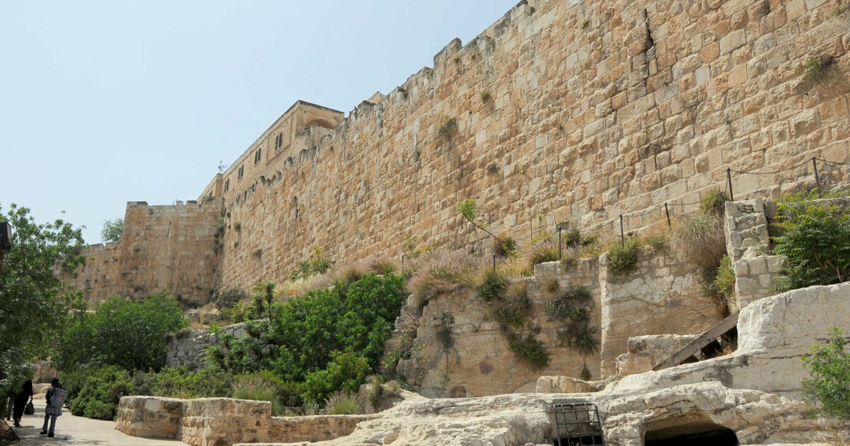 Trowel & Sword Life Journal Daily with Pastor Wayne New Hope West