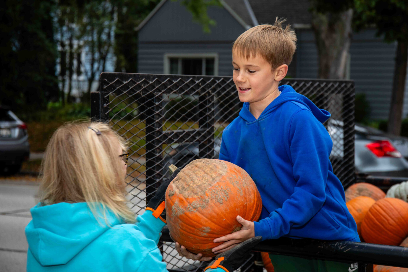 Pumpkins Sales