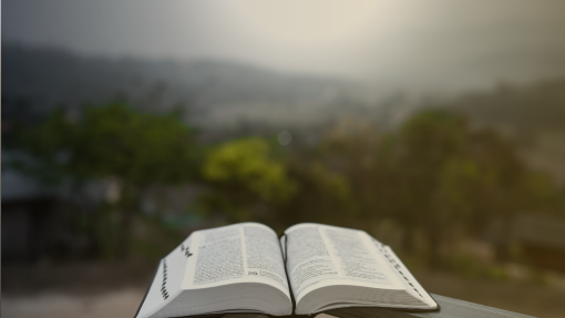 Oh, How Precious is His Love