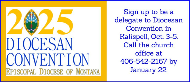 Sign up to be a delegate to Diocesan Convention