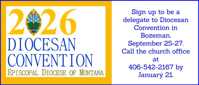 Sign up to be a delegate to Diocesan Convention