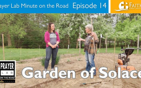 Prayer Lab Minute Video: Garden of Solace