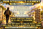 From Interference to Alignment
