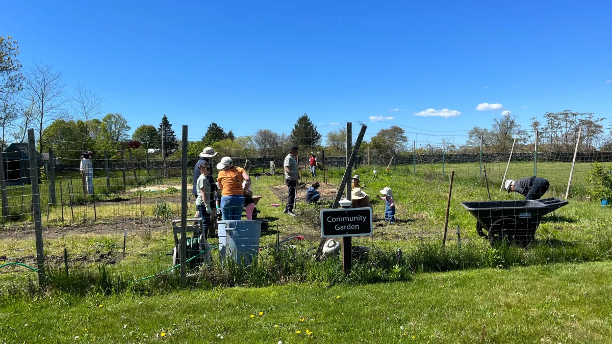 Community Garden Clean Up