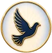 Purpose of God icon