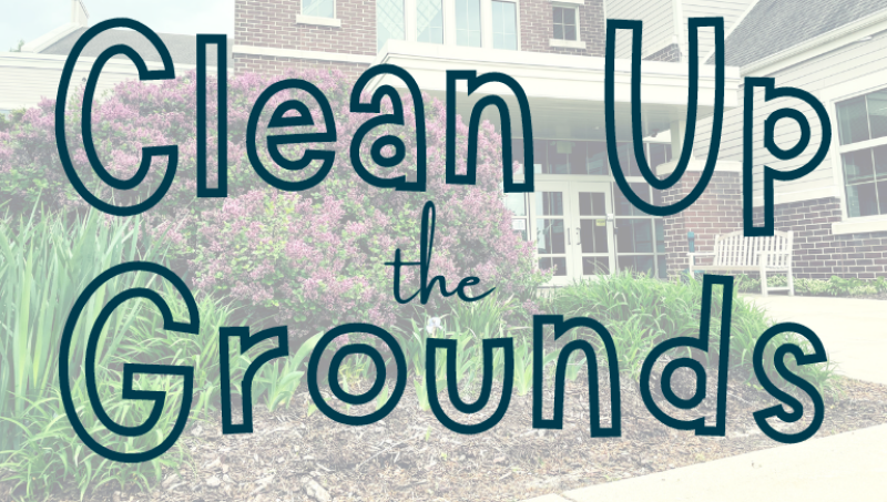 Fall Clean Up