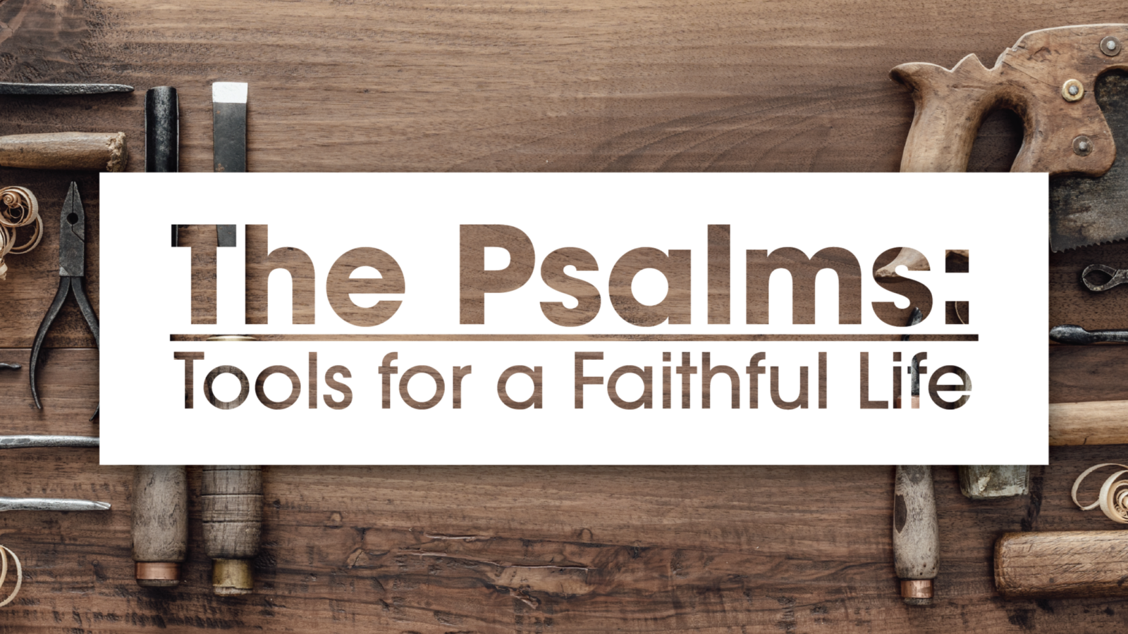 The Psalms: Tools For A Faithful Life