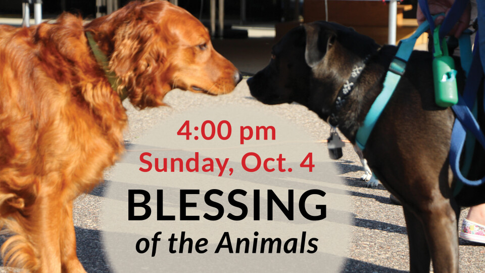 Blessing of the Animals