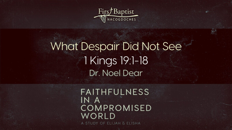What Despair Did Not See