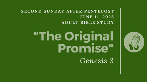 Adult Bible Study, "The Original Promise"