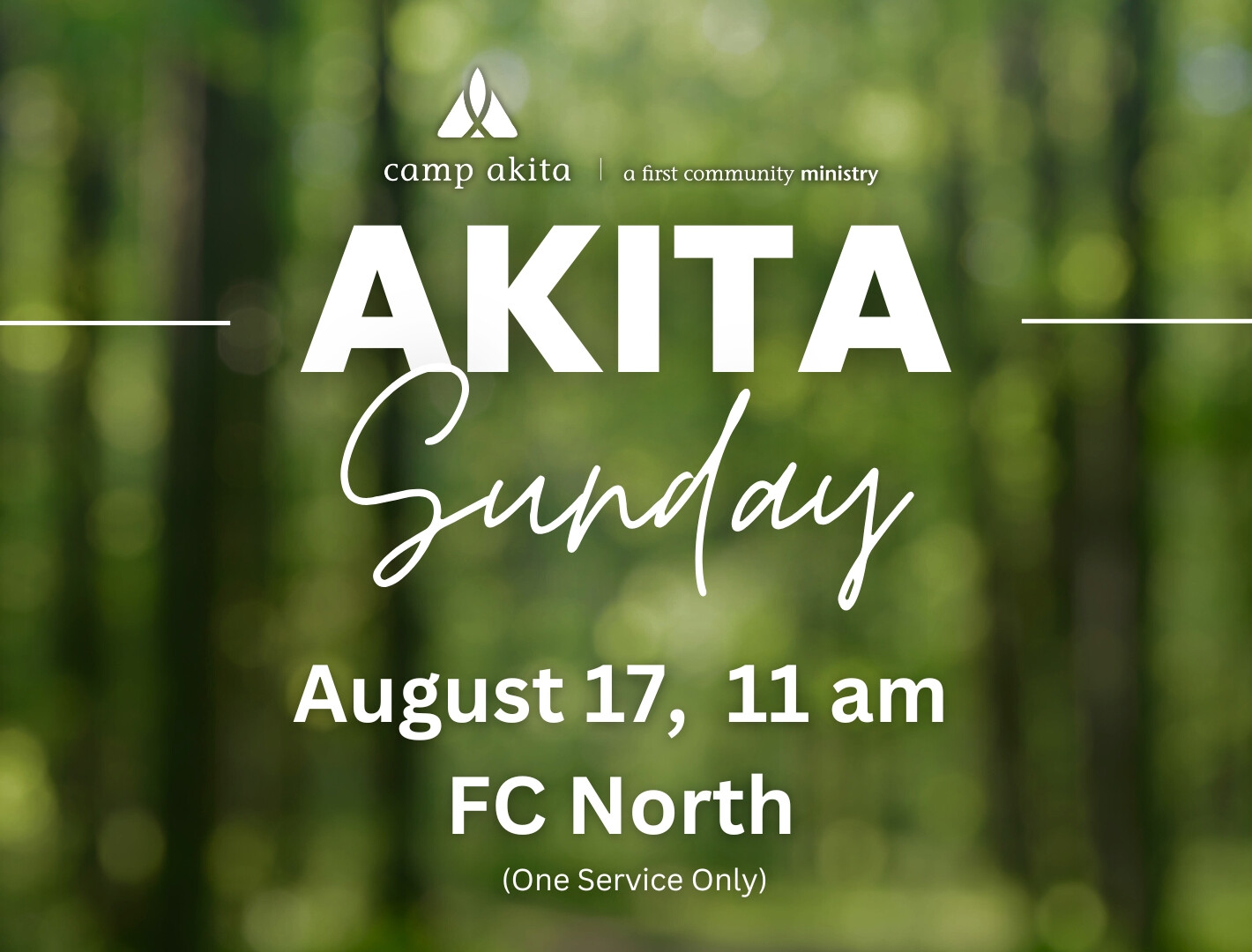 Akita Sunday