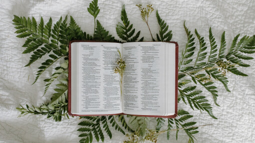 IF Gathering 2023 - Psalm 23 Devotional