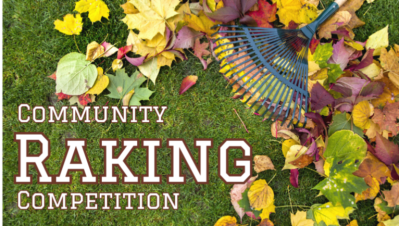 Community Raking Competition