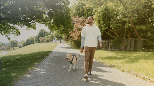 His Beauty is Ever Before Us