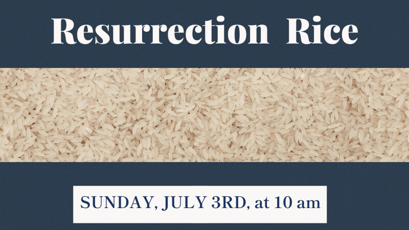 Resurrection Rice Collection