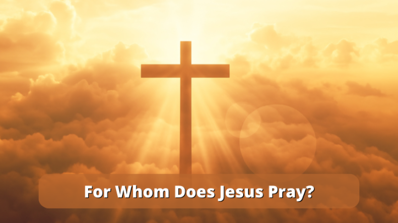 For Whom Does Jesus Pray?