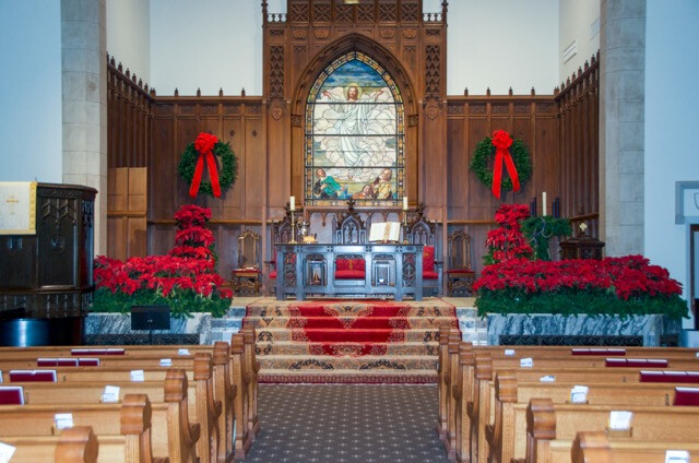 poinsettia plants in the chancel of a traditional sanctuary