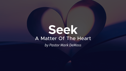 Seek: A Matter Of The Heart