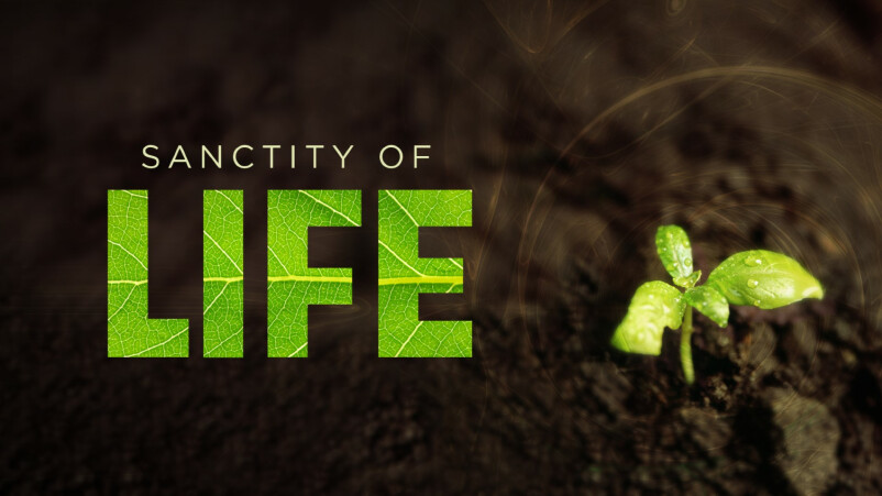 The Sanctity of Human Life, 2021