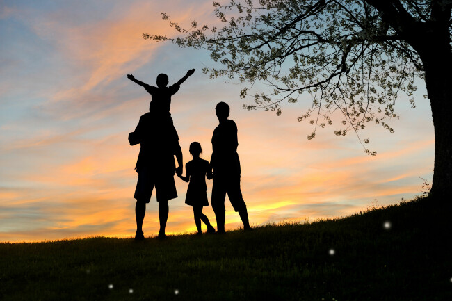 legacy sample - percent of estate