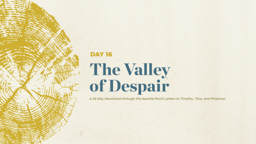 The Valley of Despair