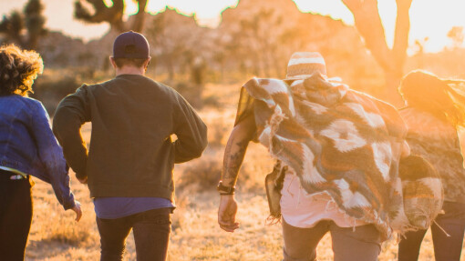 The Government of Love