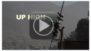 uphigh pic