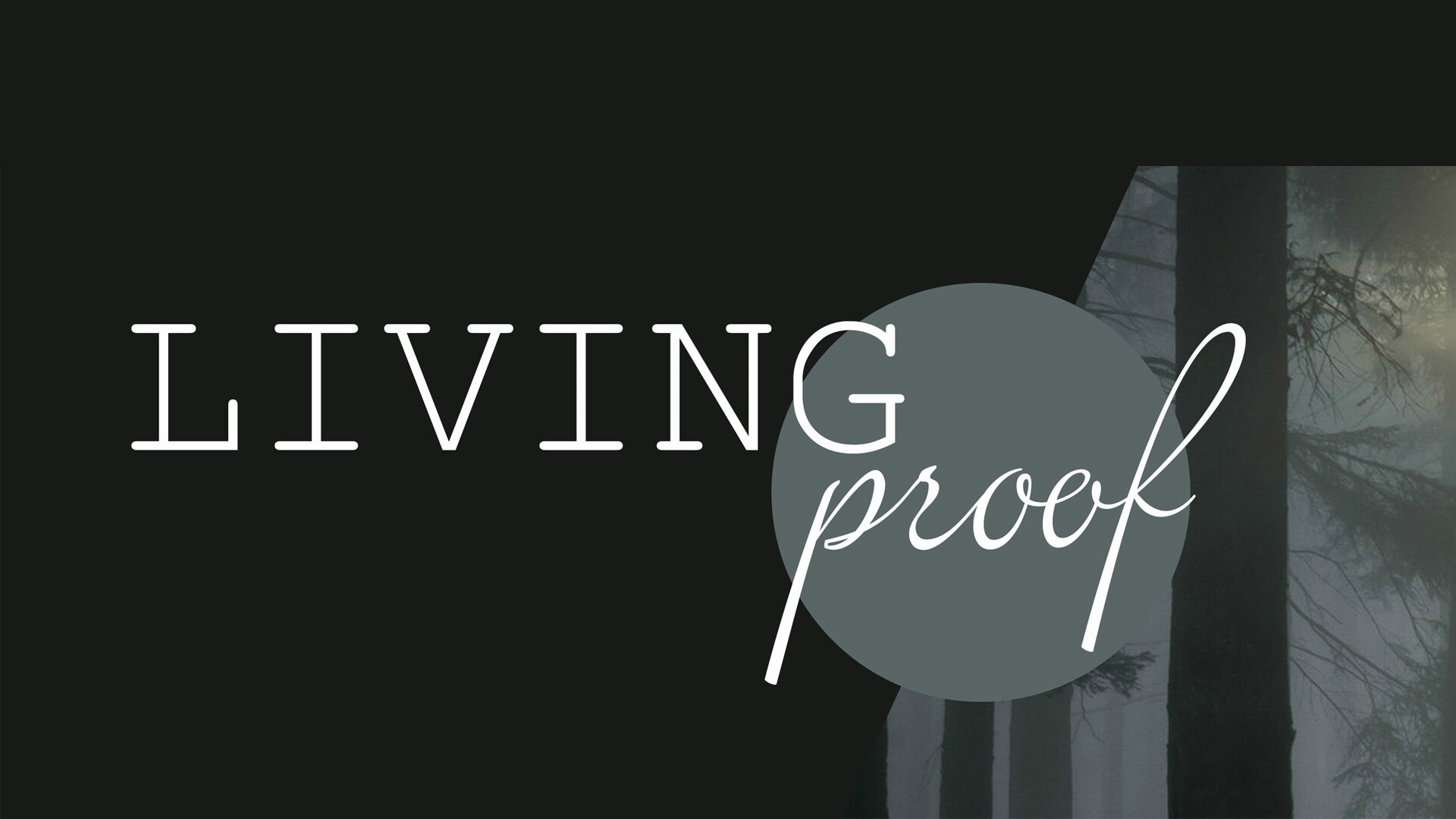 Living Proof: Be Doers Of The Word (Video) episode artwork